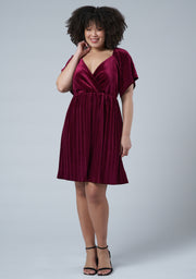 Blushy Worthy Velvet Dress