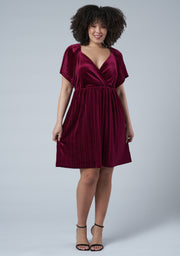 Blushy Worthy Velvet Dress