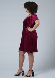 Blushy Worthy Velvet Dress