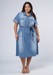 Ari Denim Midi Dress