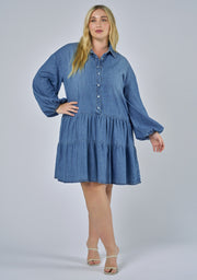 Emer Denim Mini Dress