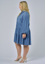 Emer Denim Mini Dress