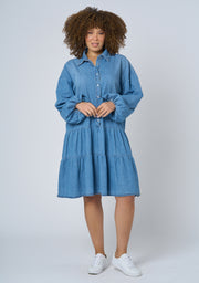 Emer Denim Mini Dress