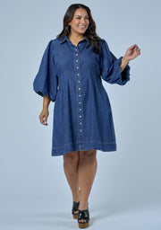 Julies Denim Shirt Dress