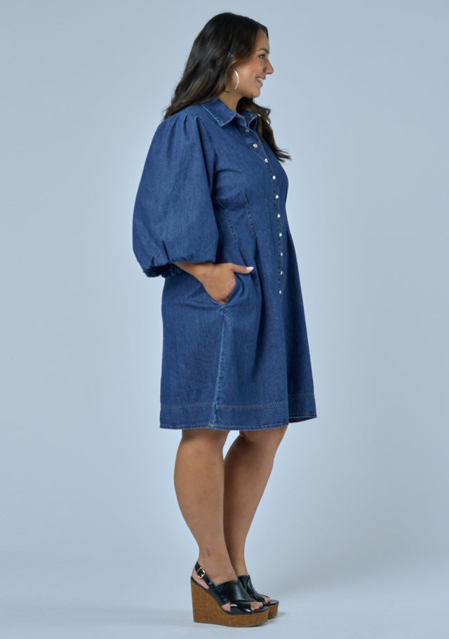 Julies Denim Shirt Dress