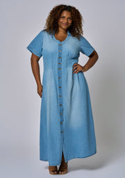 Tara Chambray Maxi Dress